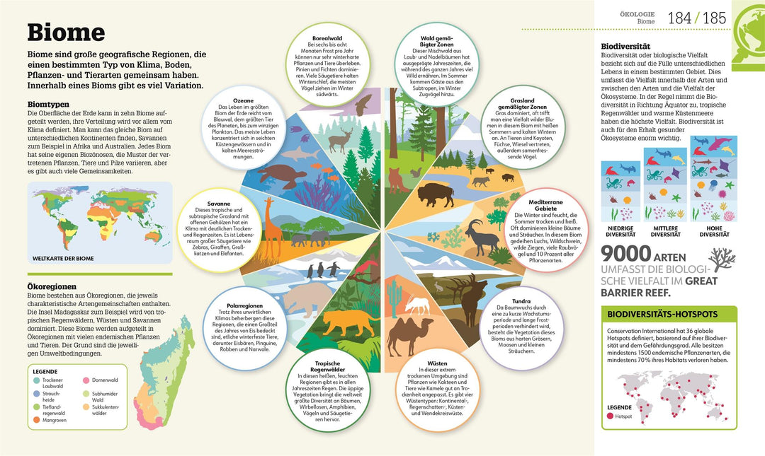 #dkinfografik. Biologie einfach erklärt | Challoner, Jack | Harris, Tim | Iv...