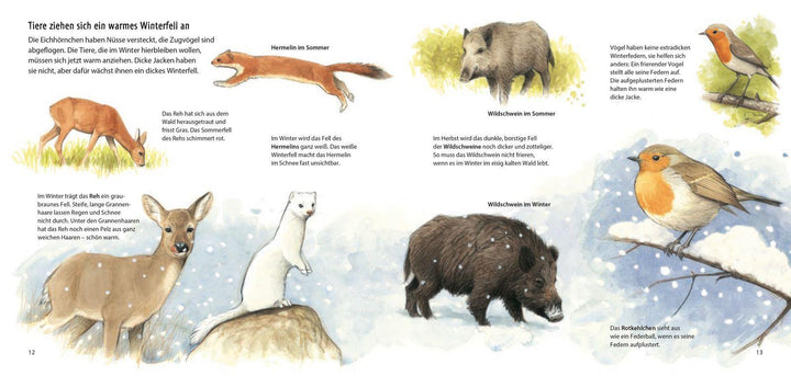 Bald wird es kalt! | Lange, Monika | Walentowitz, Steffen