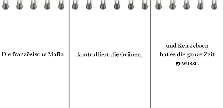 Der Desinformator | Wittkamp, Peter | Frey, Pia