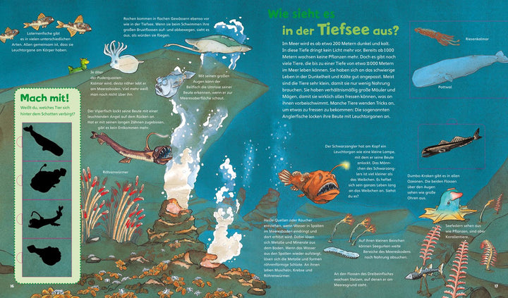 WAS IST WAS Junior Band 17. Das Meer | Braun, Christina | Schuck, Sabine