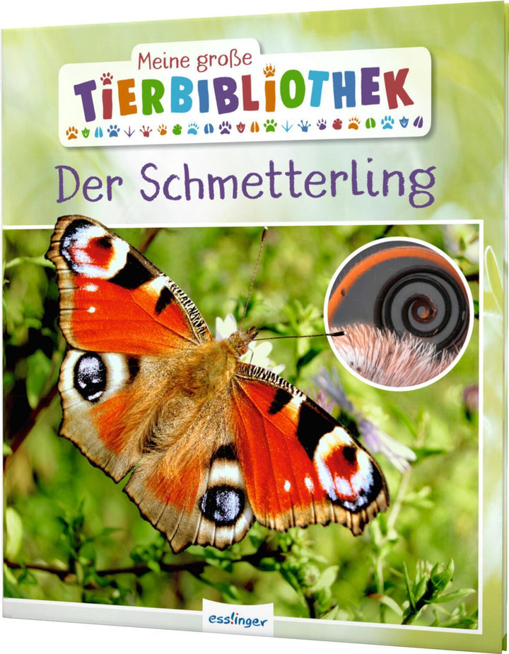 Meine große Tierbibliothek: Der Schmetterling | Tracqui, Valérie