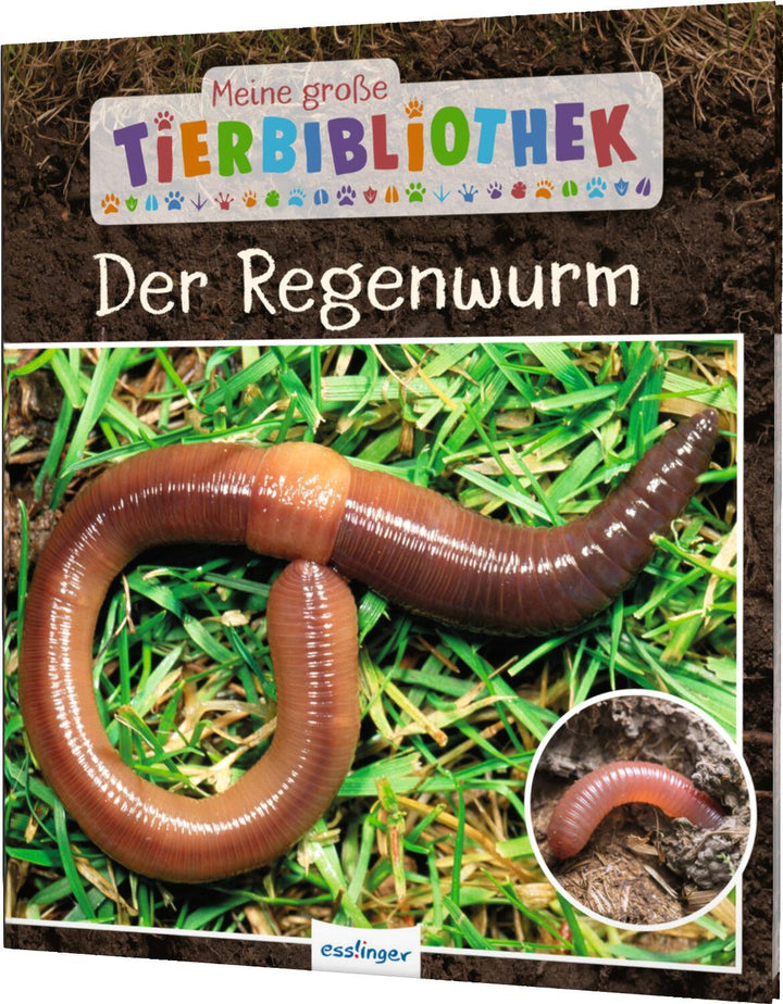 Meine große Tierbibliothek: Der Regenwurm | Tracqui, Valérie