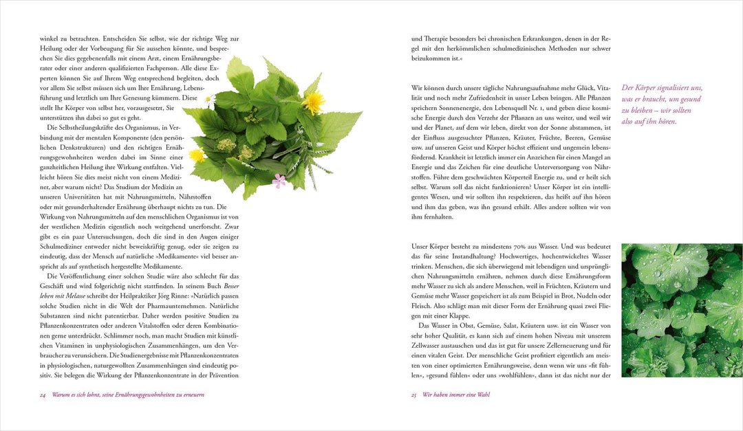 Heilen mit Wildkräutern - Meine Lebensretter aus der Natur | Brosius, Ralf