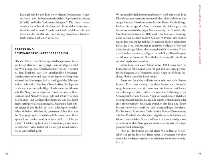 Der Elternkompass | Schmidt, Nicola