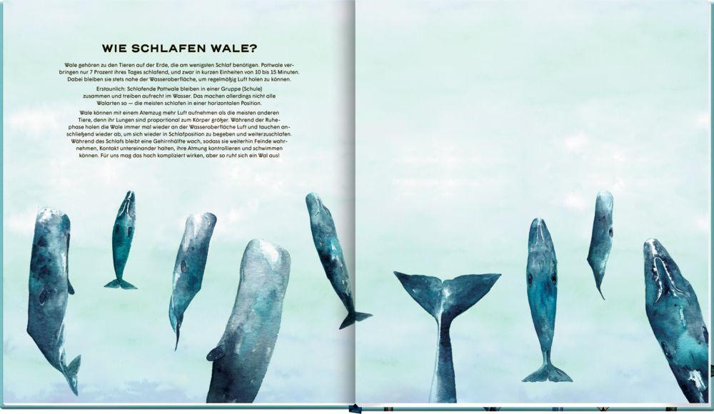 Die geheime Welt der Wale | Ortega, Rena