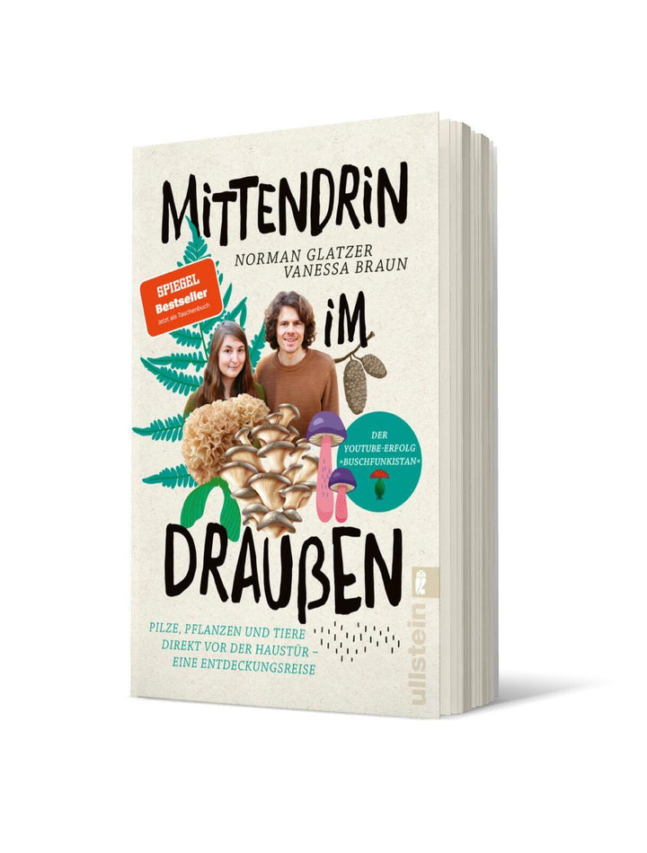 Mittendrin im Draußen | Glatzer, Norman | Braun, Vanessa