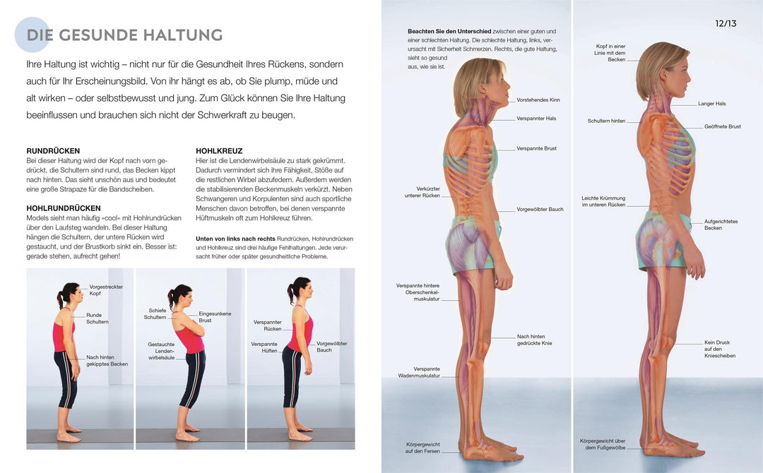 15 Minuten Rückentraining für jeden Tag | -