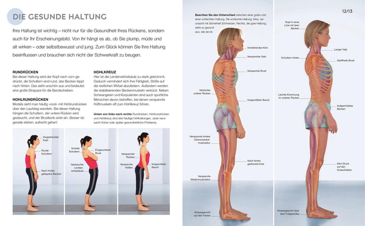 15 Minuten Rückentraining für jeden Tag | -