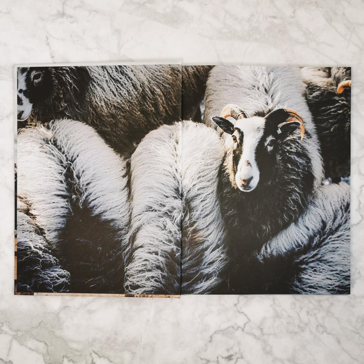 Küstenmaschen | Åberg, Erika