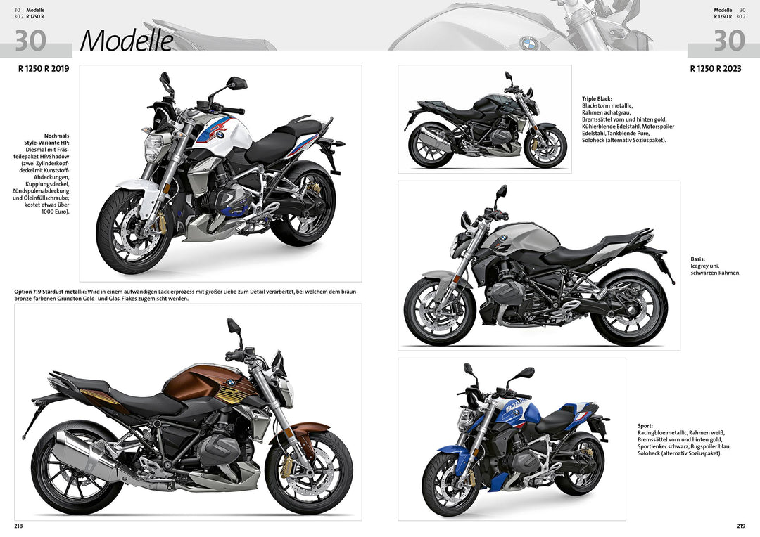 BMW R 1200 R, BMW R 1250 R, BMW R 1200 RS, BMW R 1250 RS Reparaturanleitung ...