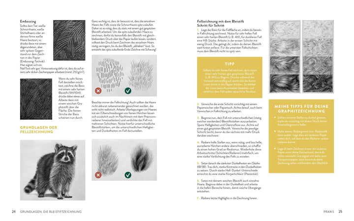 Zeichnen - Das große Buch der Tierporträts | Boehmer-Hoops, Susanne