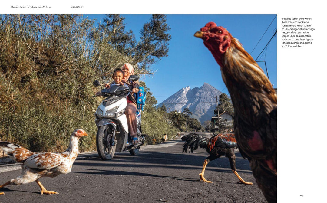 Vulkanmenschen | Lohmann, Ulla