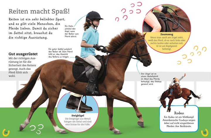 Pferde und Ponys | -