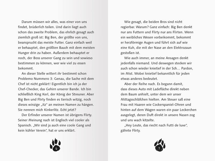 3 Streuner wittern das Abenteuer | Fröhlich, Anja