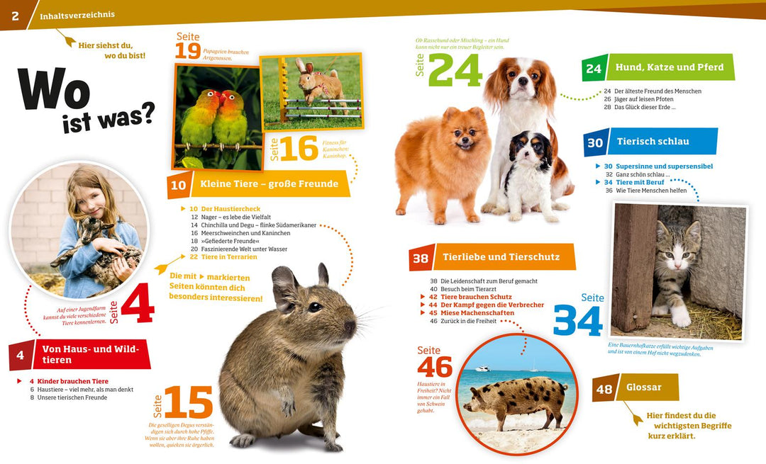 WAS IST WAS Band 72 Haustiere. Unsere liebsten Freunde | Hackbarth, Annette