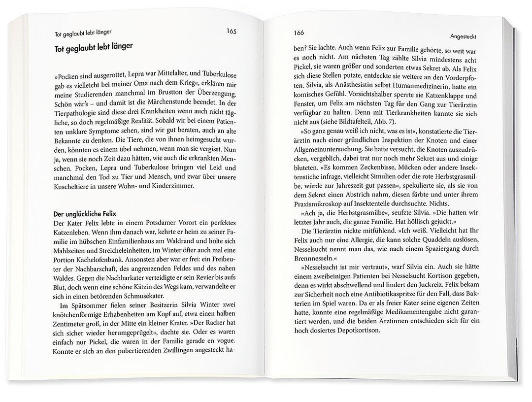 Das Kuscheltierdrama | Gruber, Achim