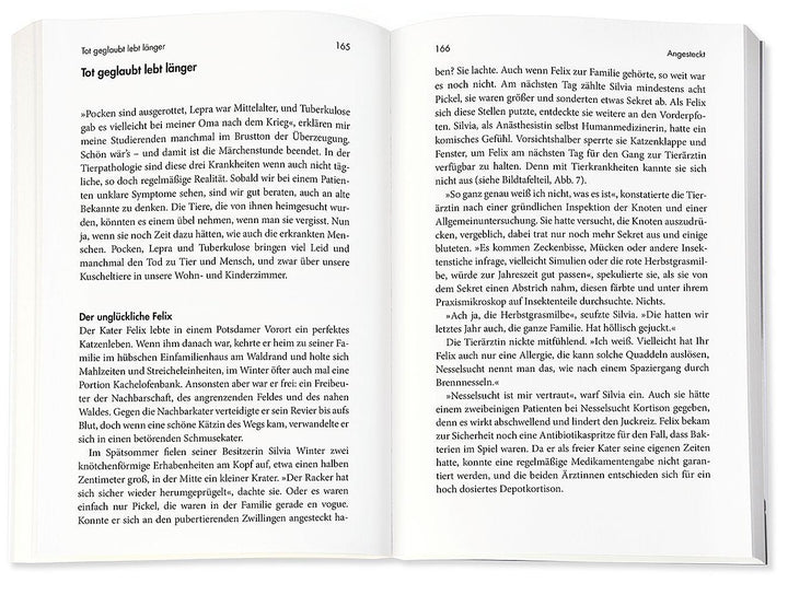 Das Kuscheltierdrama | Gruber, Achim