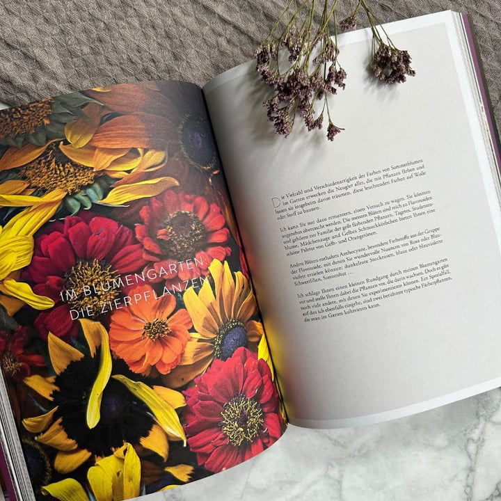 Natürlich färben | Philippe, Céline