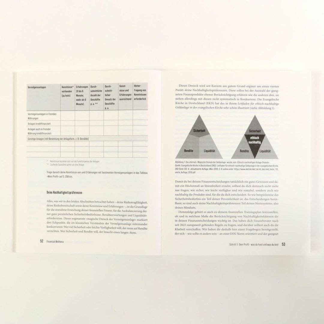 Financial Wellness | Möller, Klaus | Rohde, Holger R.