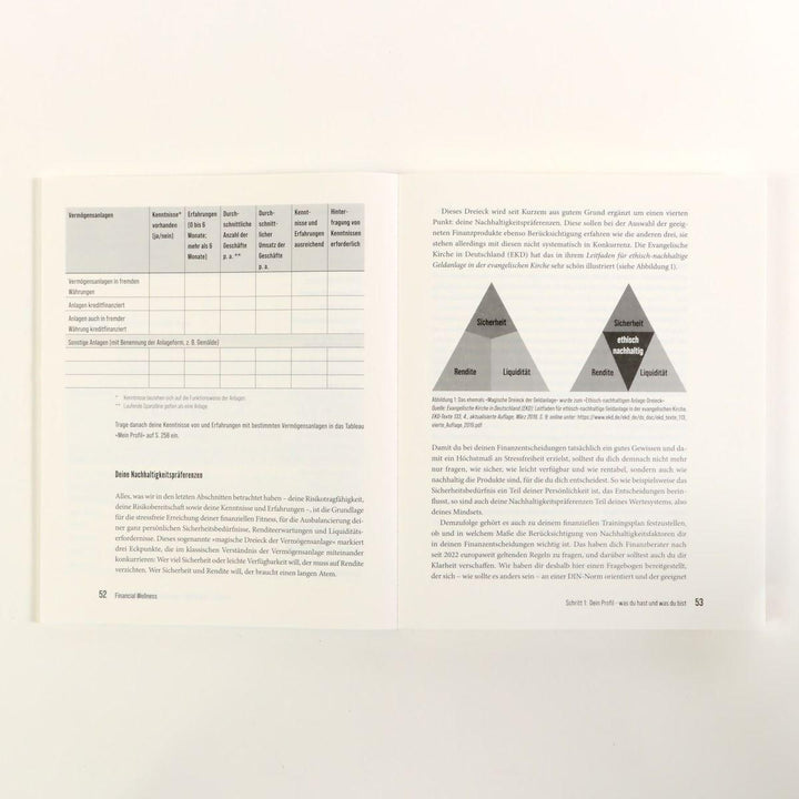 Financial Wellness | Möller, Klaus | Rohde, Holger R.