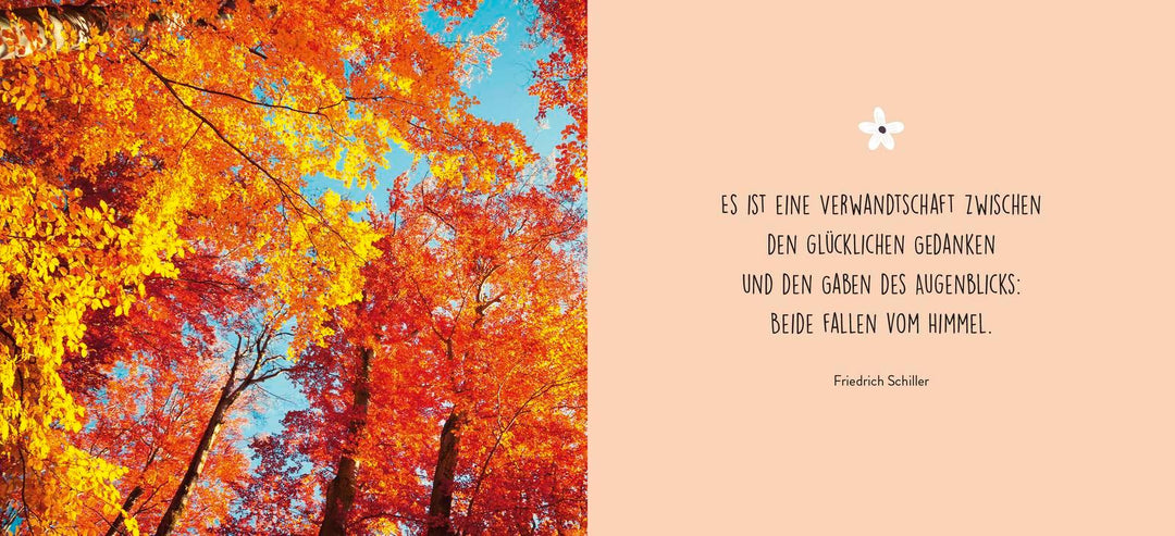 Gute Gedanken für jeden Tag | -