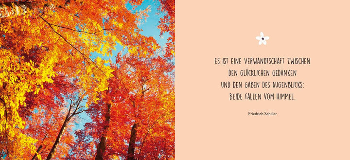 Gute Gedanken für jeden Tag | -