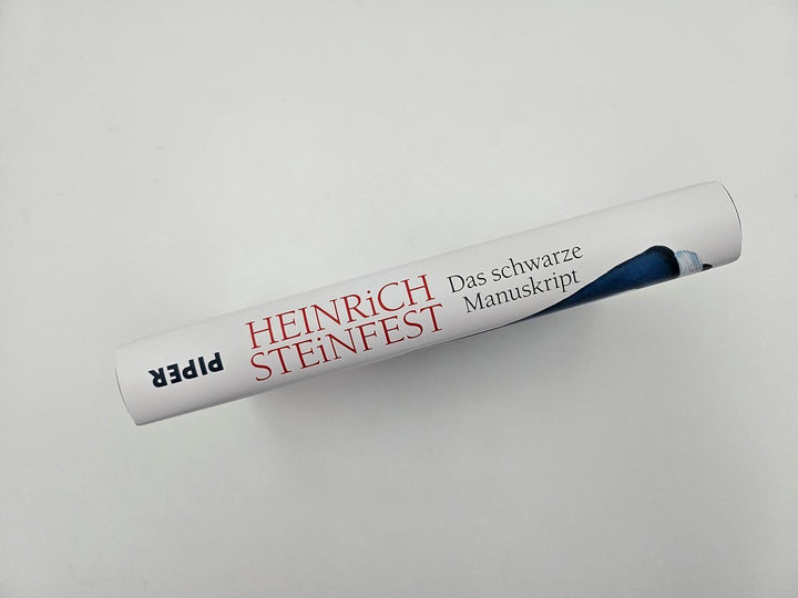 Das schwarze Manuskript | Steinfest, Heinrich