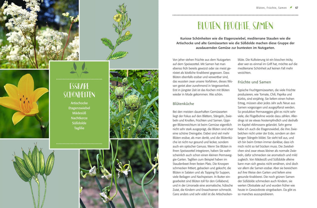 Gemüse forever! | Weidenweber, Christine