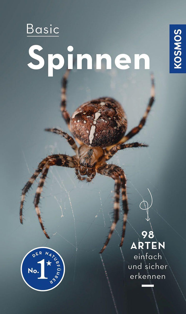 Basic Spinnen | Wilker, Lars