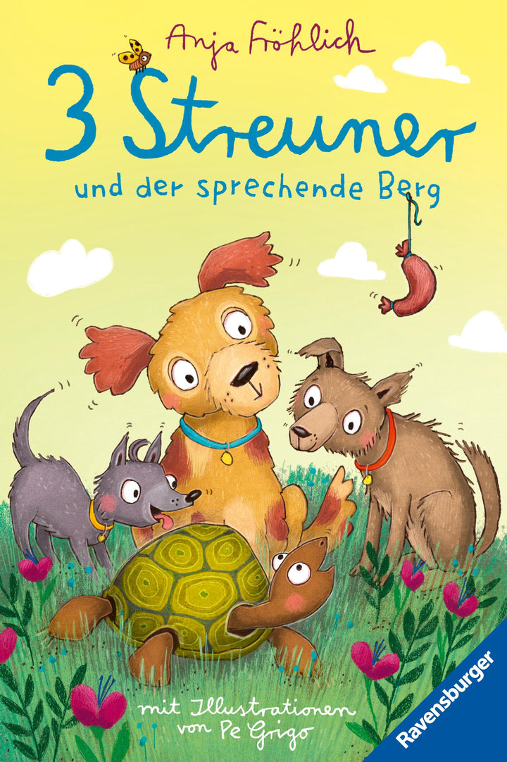 3 Streuner und der sprechende Berg | Fröhlich, Anja