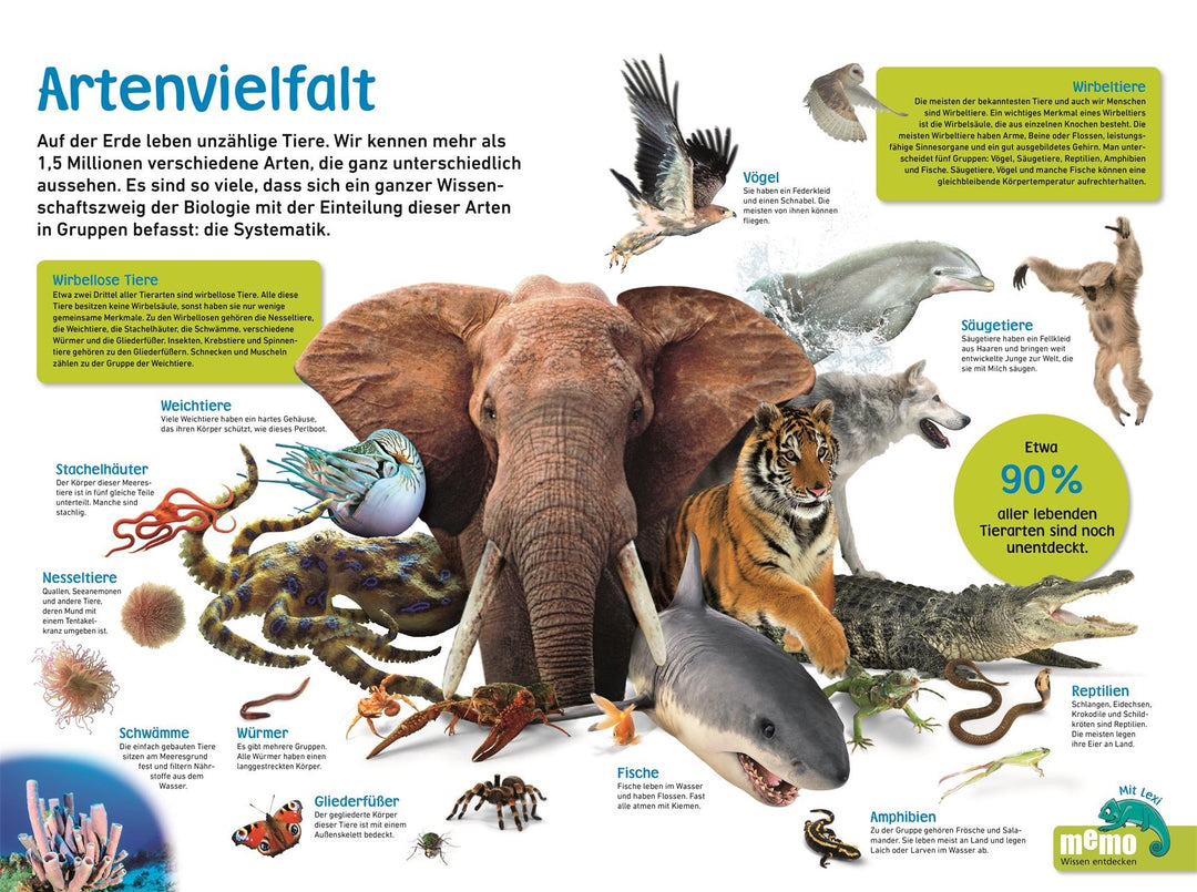 memo Wissen entdecken. Tiere | Jackson, Tom