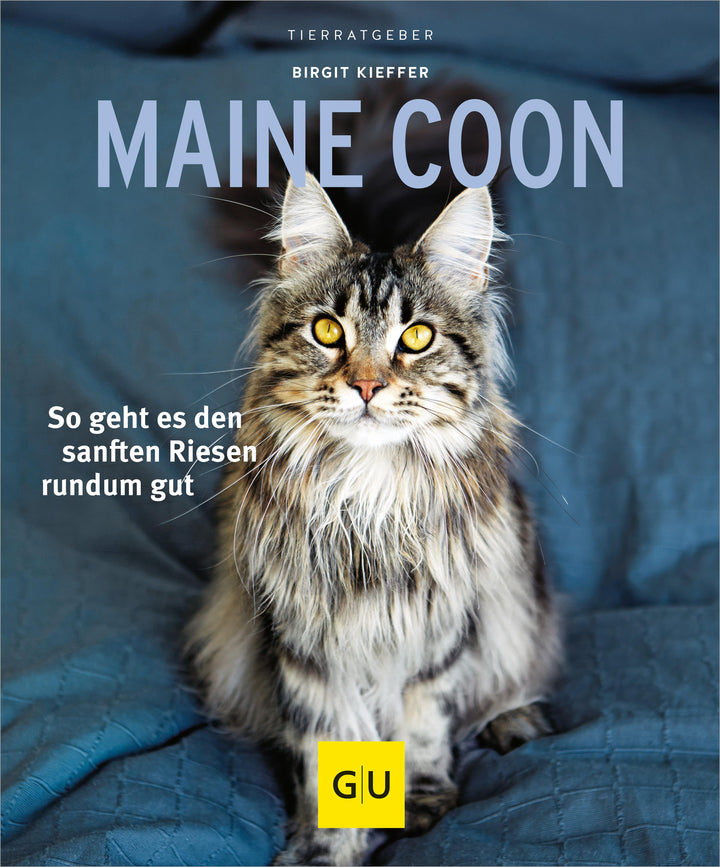 Maine Coon | Kieffer, Birgit