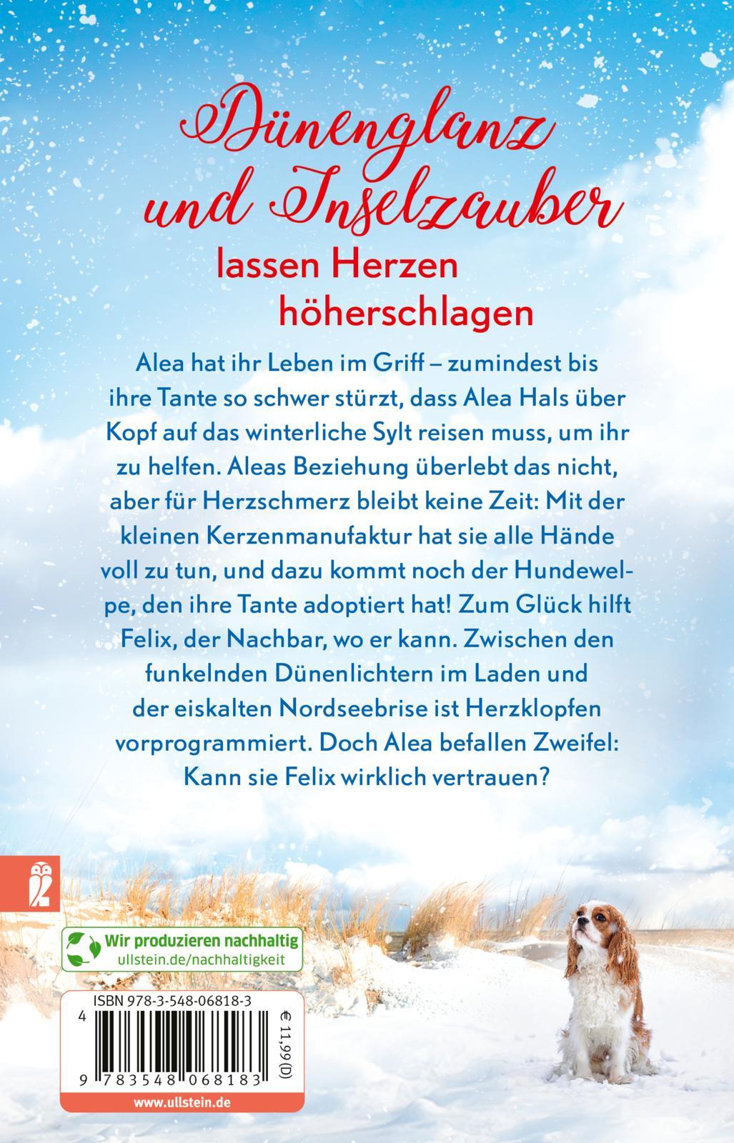 Winterträume in der kleinen Manufaktur am Meer | Rogasch, Julia