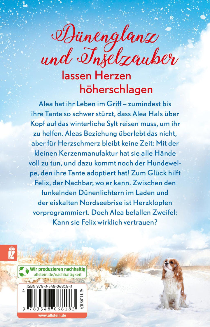 Winterträume in der kleinen Manufaktur am Meer | Rogasch, Julia