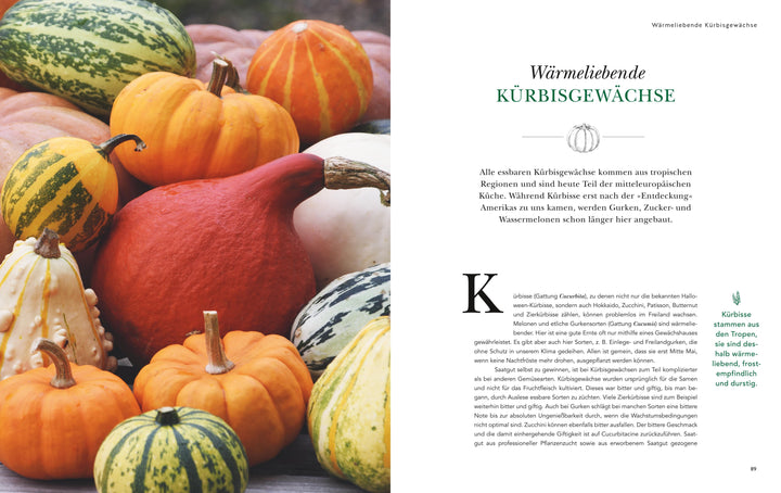 Das große Garten-Gemüse-Buch | Nagel, Cynthia