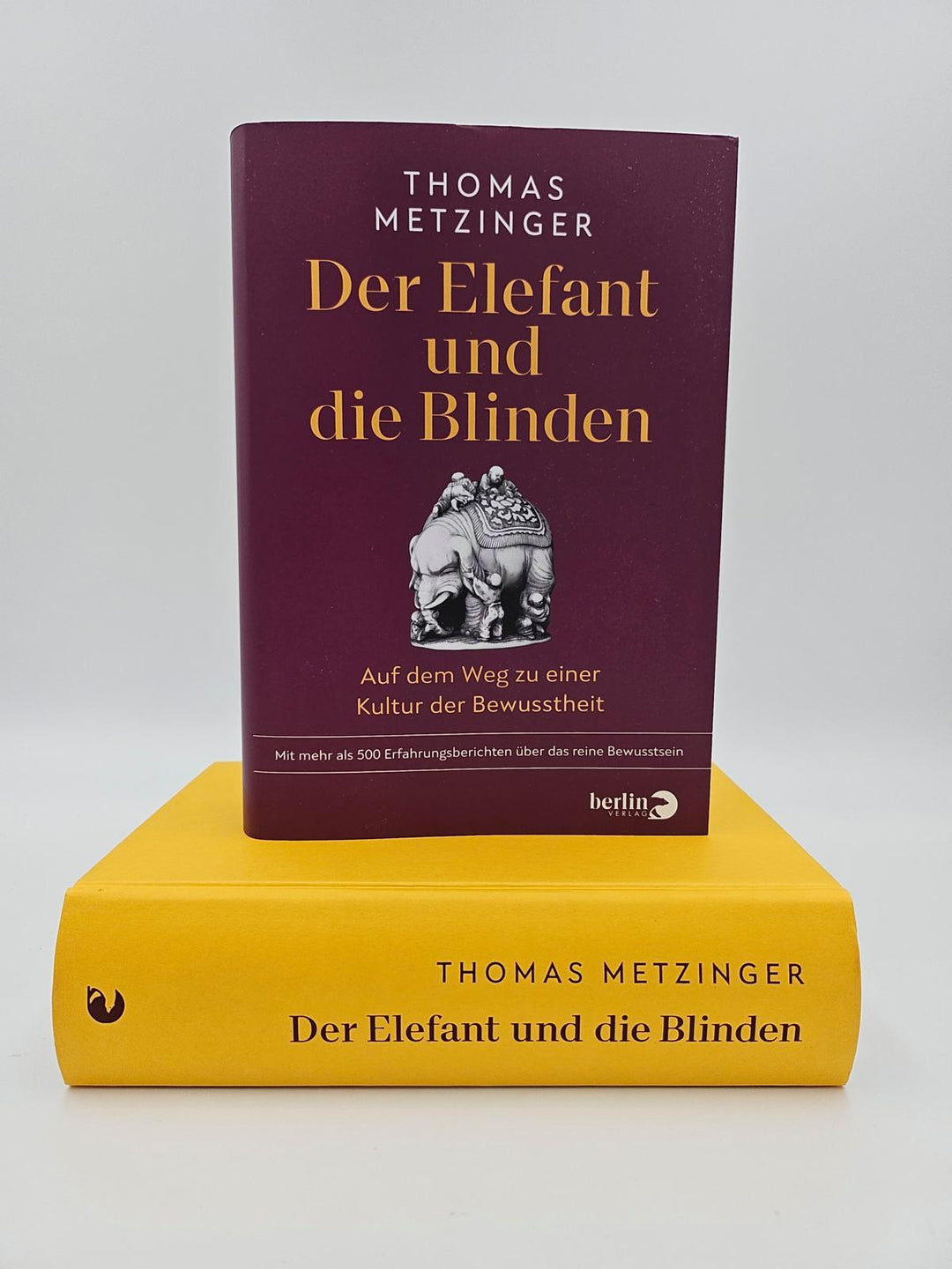 Der Elefant und die Blinden | Metzinger, Thomas