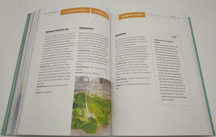 10 Kräuter gegen 100 Krankheiten | Rubin, Franziska