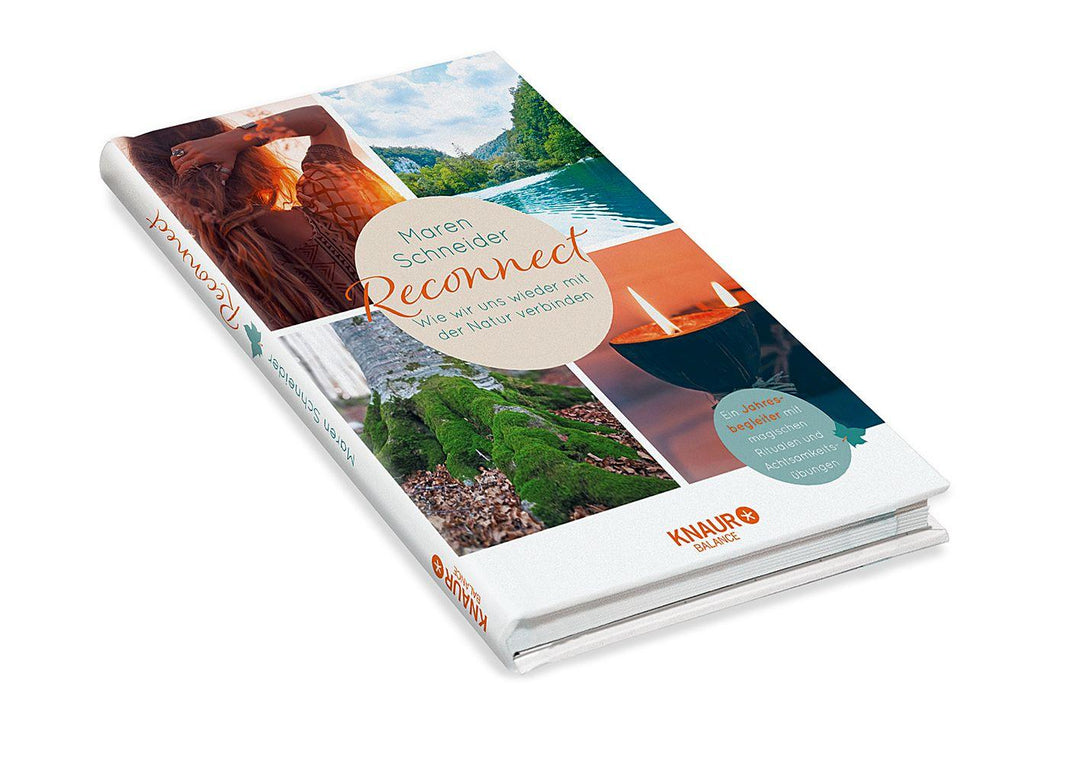 Reconnect. Wie wir uns wieder mit der Natur verbinden | Schneider, Maren