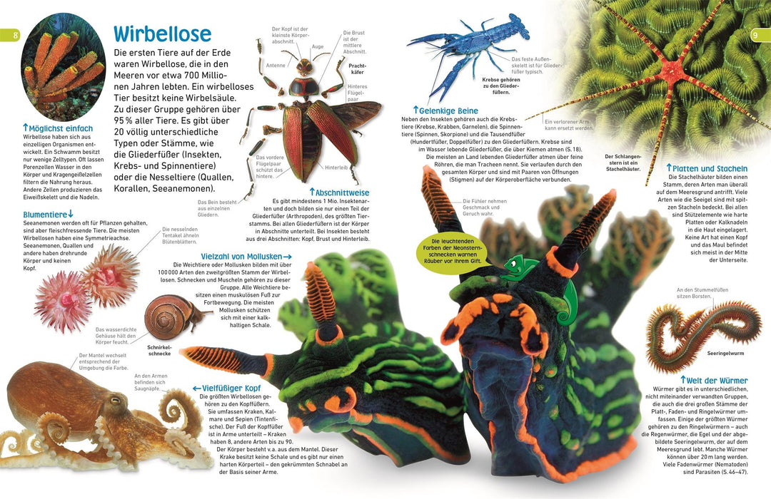 memo Wissen entdecken. Tiere | Jackson, Tom