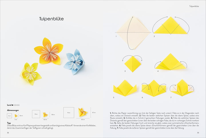 Das große Origami Buch | Klam, Adeline