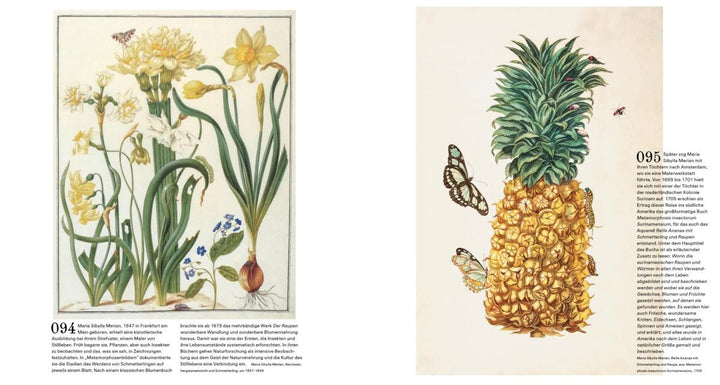 Der Garten. Seine Geschichte in 333 Bildern | Trotha, Hans von