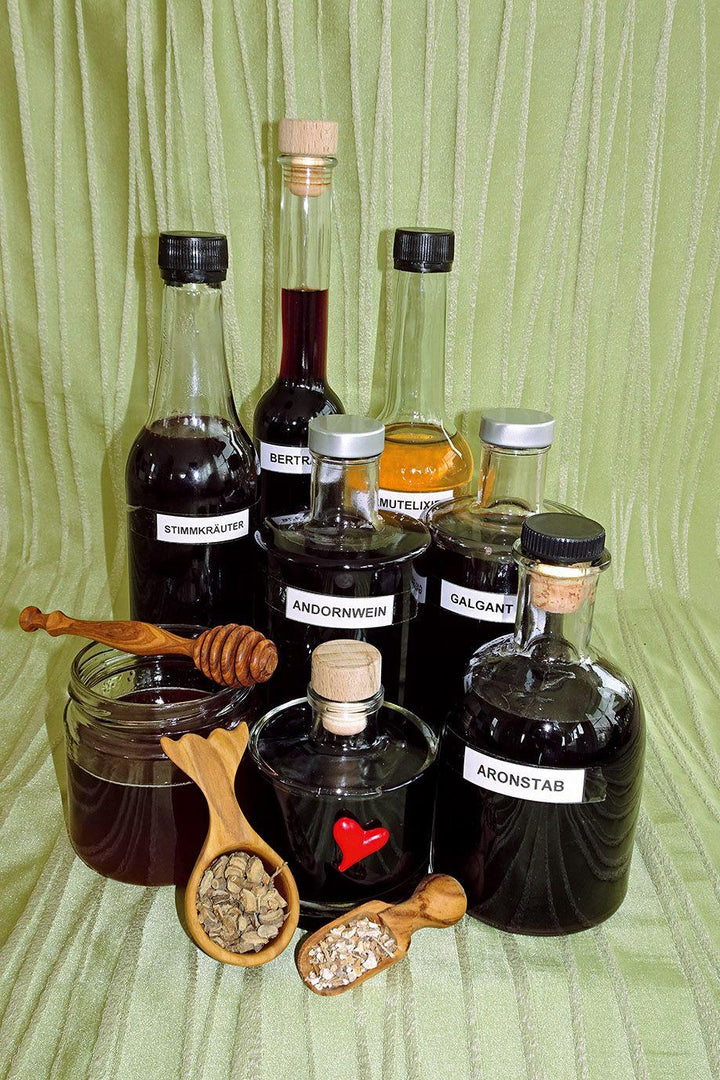 Einfach gesund. Das Hildegard von Bingen Gesundheitsbuch | Pregenzer, Brigitte