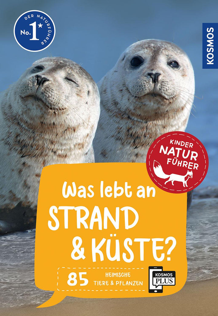 Was lebt an Strand und Küste? Kindernaturführer | Haag, Holger
