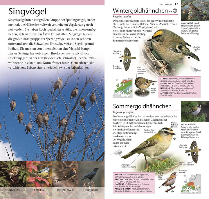 Vögel | Elphick, Jonathan | Woodward, John