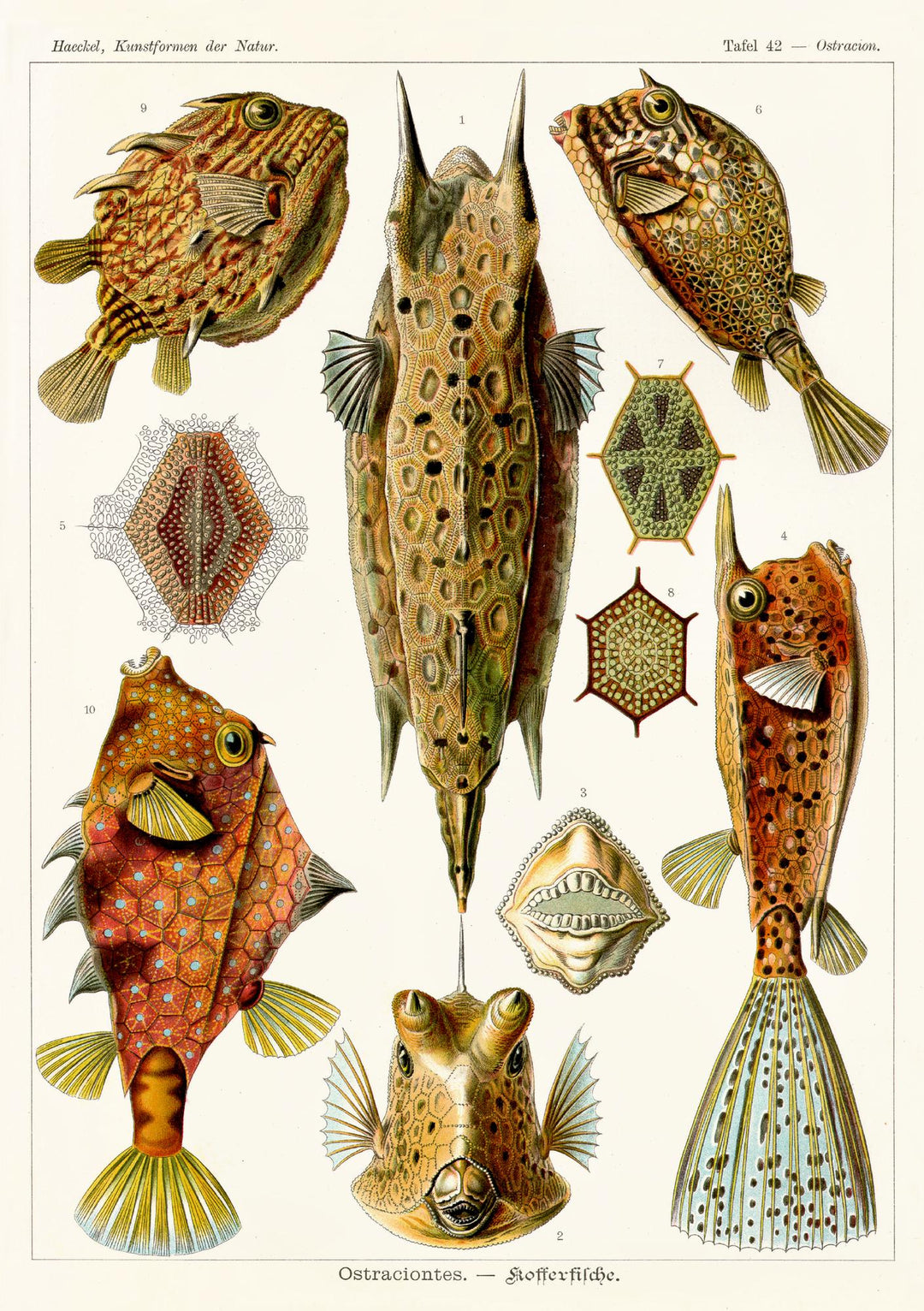 20 000 Meilen unter den Meeren | Verne, Jules