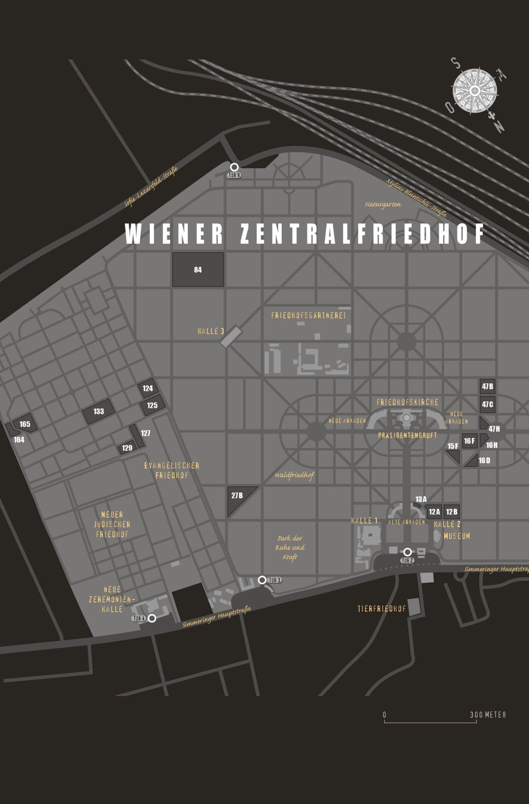 VANITAS - Grau wie Asche | Poznanski, Ursula