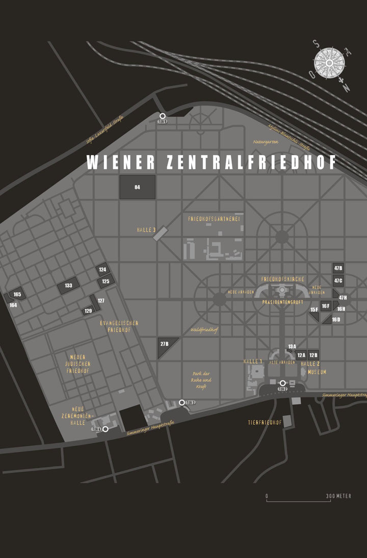 VANITAS - Grau wie Asche | Poznanski, Ursula