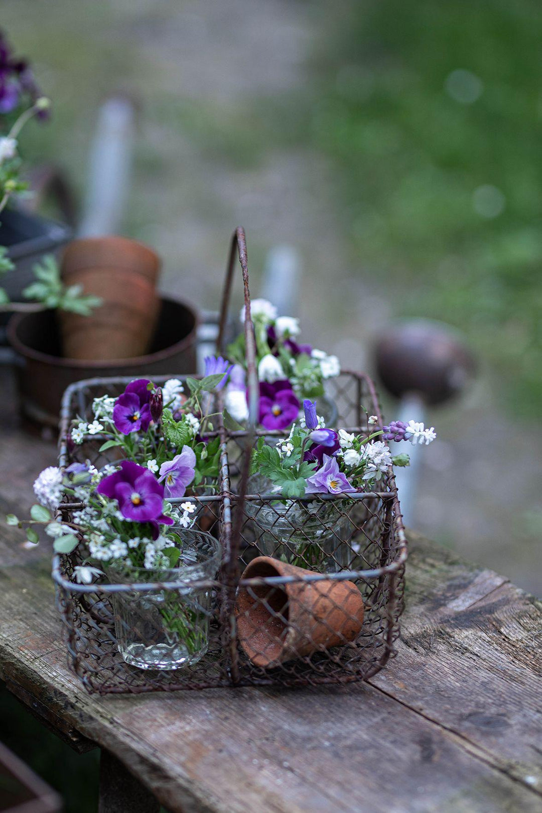 Französisches Landhaus-Flair | Kohler, Ramona Christina