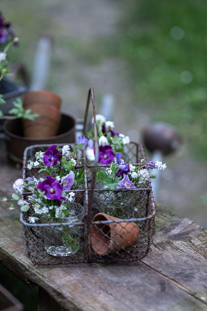 Französisches Landhaus-Flair | Kohler, Ramona Christina