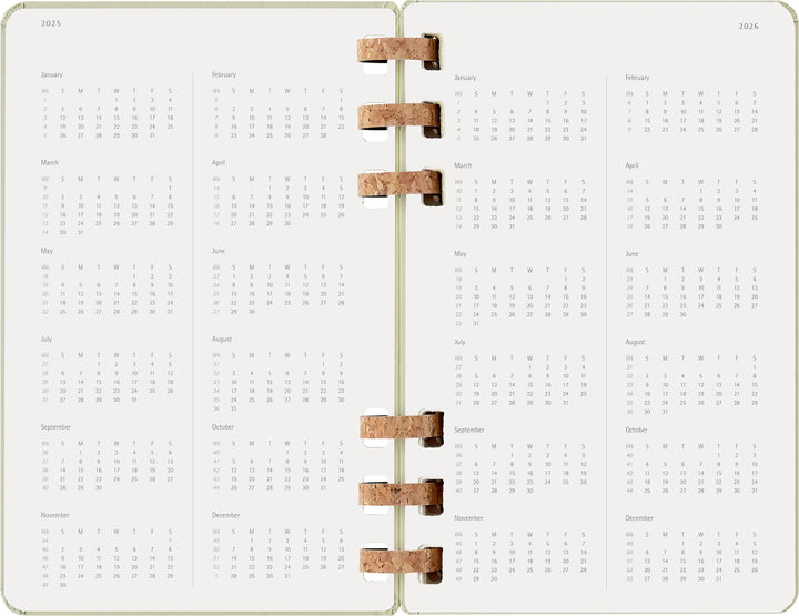 Moleskine 12 Monate Studienplaner mit Spiralbindung 2026, L/A5, Fester Einba...